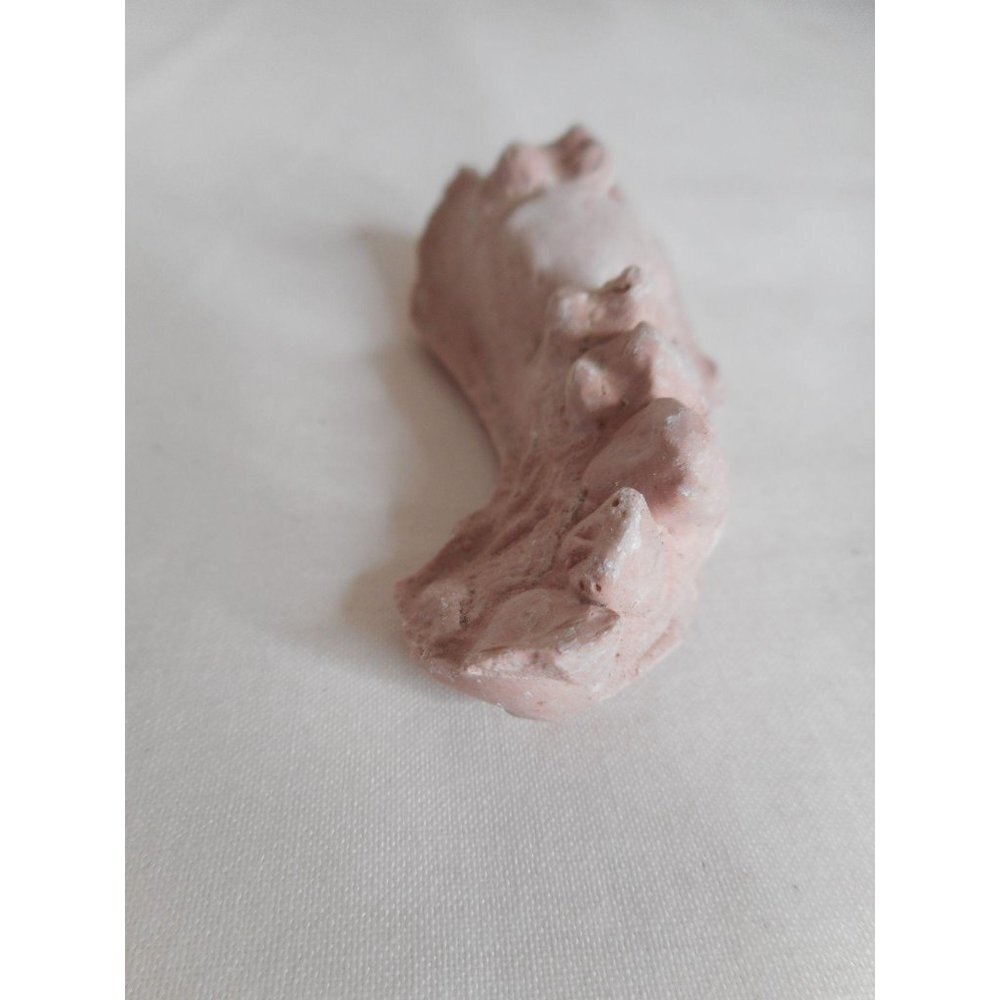 Vintage Cast Dental Teeth Mold  Tooth Castings Med